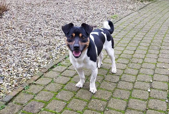 26907835 1613649638729993 660280282664666564 n