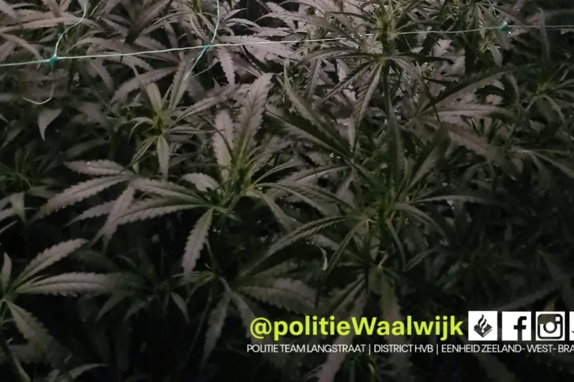 274154963 310852337742659 4402893034359439342 n