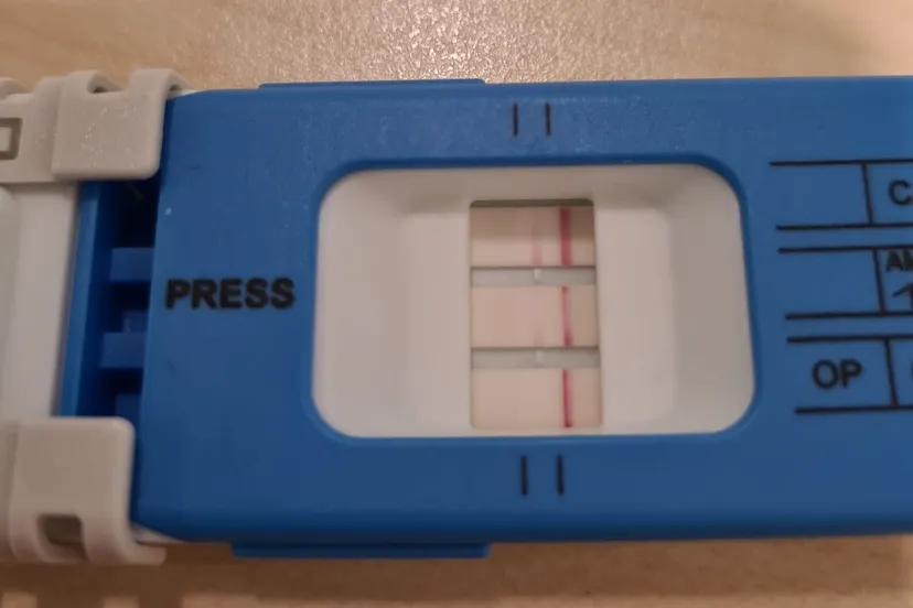 274917559 316224290538797 2161077282835510408 n