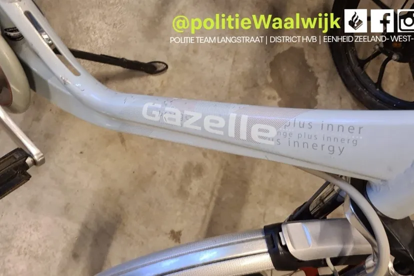 277706809 340418694786023 4458408625524373522 n