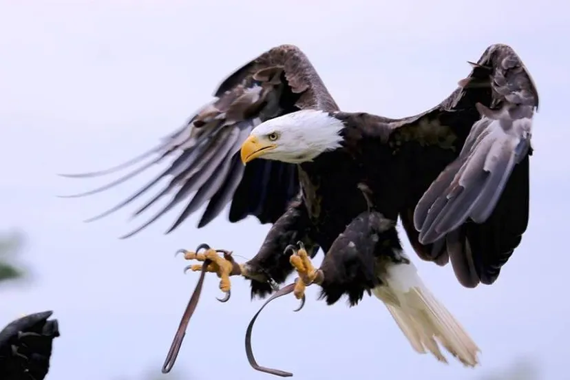 27858578 1871176142892374 5682247059164352690 n