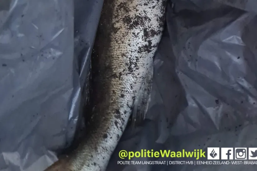 278794020 348011120693447 1219130915646746269 n