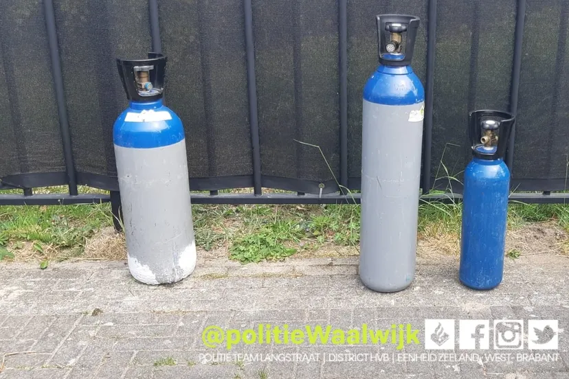 280032788 359799346181291 1482054357634785405 n