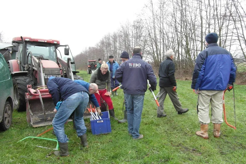 28164650 1006579076165616 5439966565716753311 o