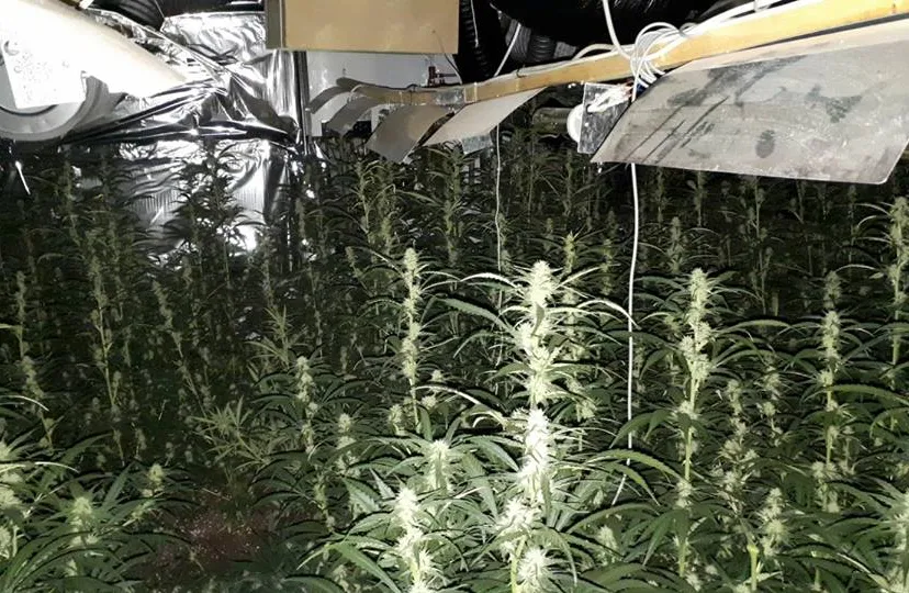 28168512 1952800248369516 3357114470317659653 n 1