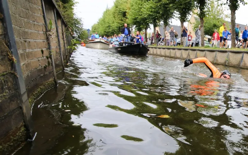 287666 11 steden zwemtocht 2018 foto wim haze 34 f2cd24 original 1534612424 002 915x518