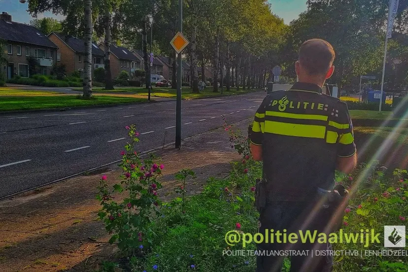 291506490 398085065686052 8744012954766729489 n