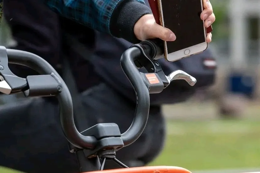 293549893 406441301517095 1848170367101827288 n