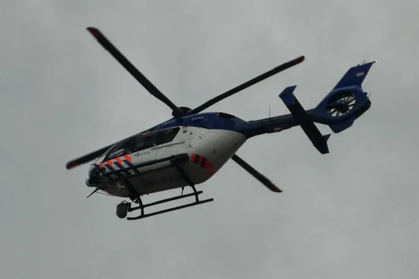 29598237 199476973988247 5174095182756933528 n