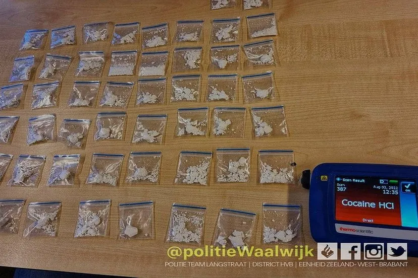 297508361 419924946835397 4650705168532979932 n