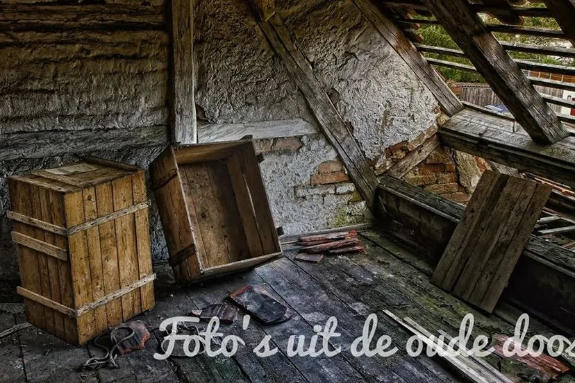 30706879 203764016892876 6368085749933277184 n