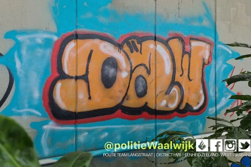 309163995 457290729765485 9145986337081757785 n