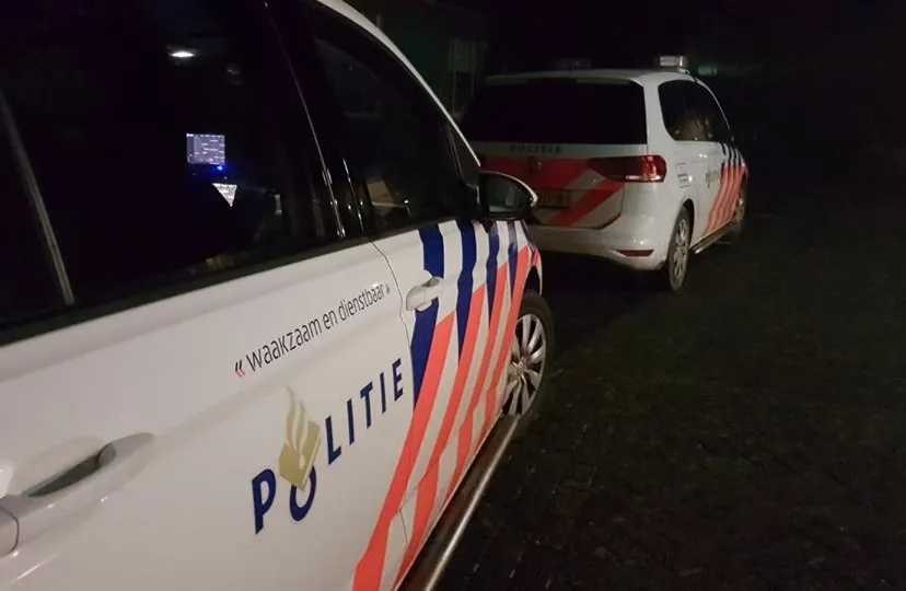 31416812 207078699894741 6863059973220335616 n