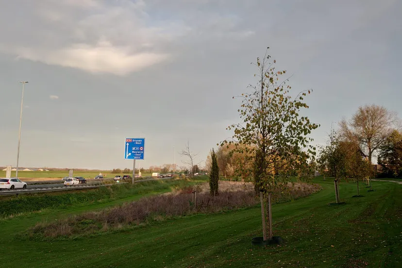 314864132 193300443213660 1474679131778524721 n