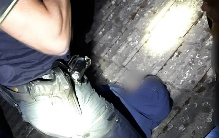 31515791 207498993186045 2486659272654454784 n