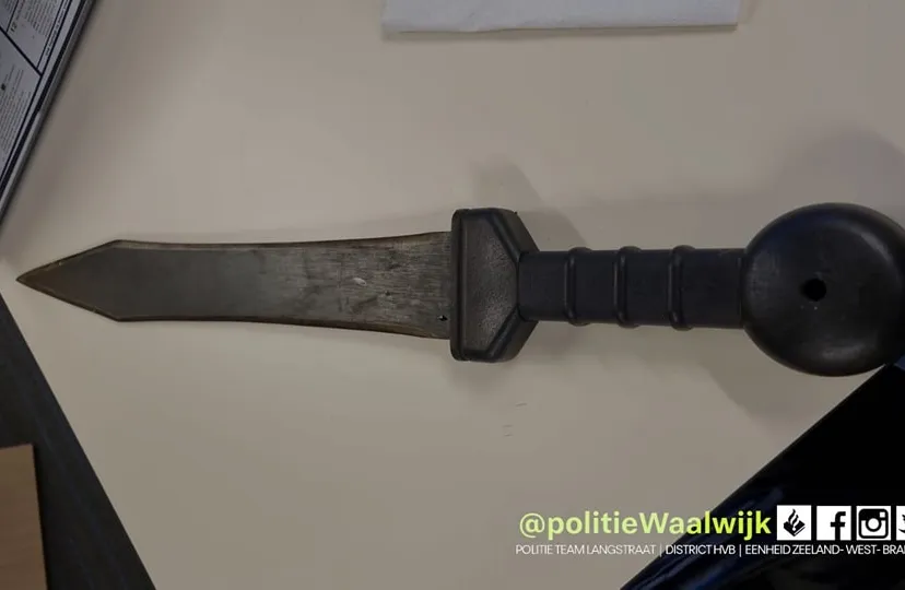 315751283 499948162166408 8965333984533569059 n