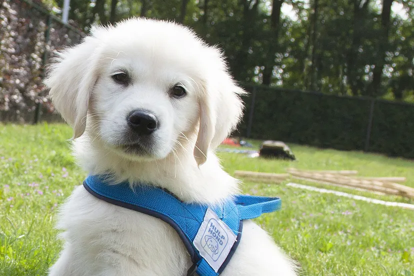 3187 853ec8515ecfcf1ca535a12974de7cc0