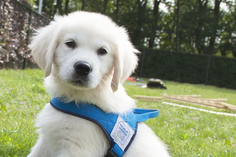 3187 de366ca5abb20081b5ea3a7838621152