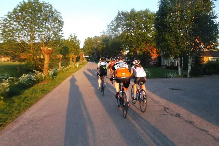 31964180 1477872132318083 8339526140238495744 n