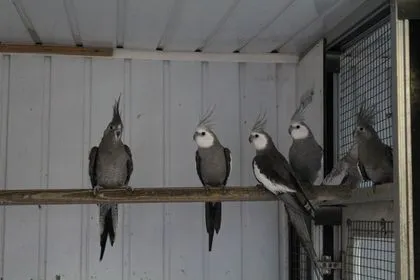 325294310 500533988882468 3668120229806021258 n