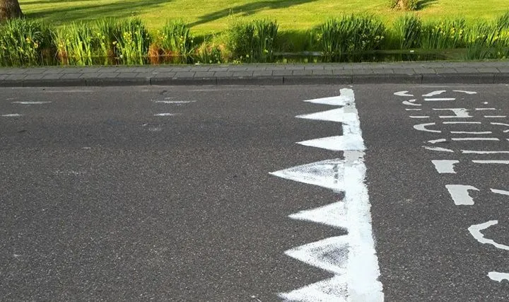 32824907 213110005958277 6497677995723980800 n