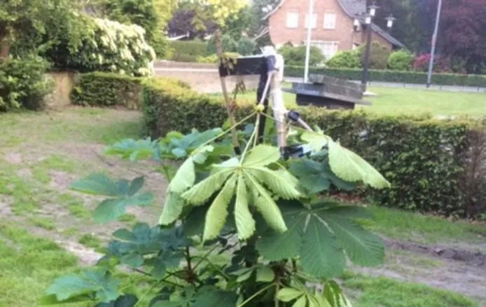 33028091 2006763456308164 1159920664916787200 n