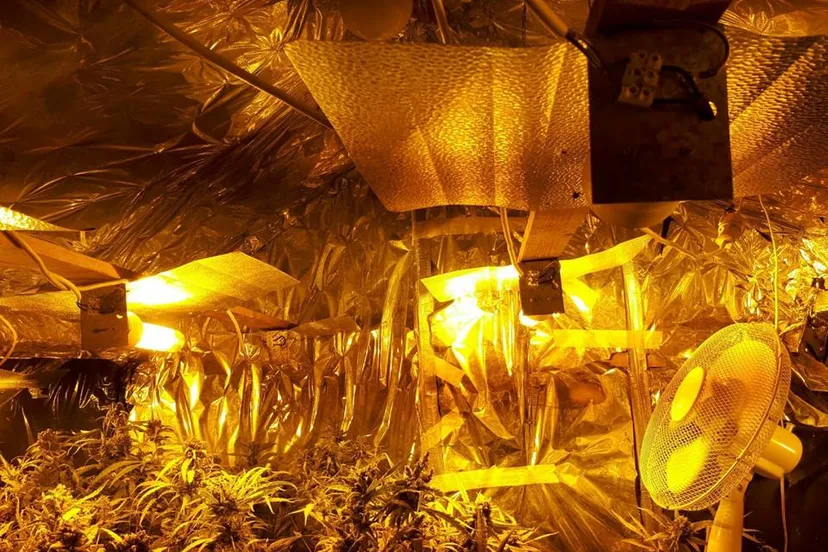 33990107 216862772249667 7440246016651034624 n