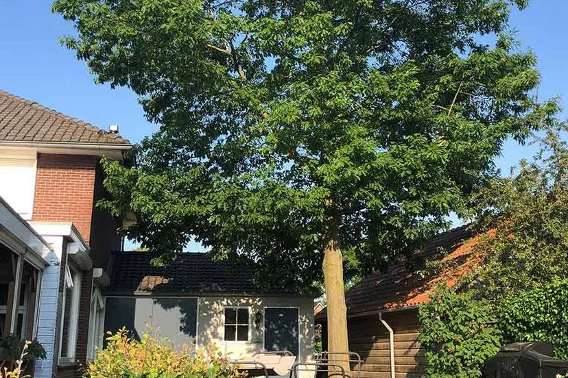 347388549 639392294886715 5917144237376595208 n