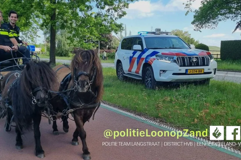 347835518 631408561862615 7513219062534431170 n