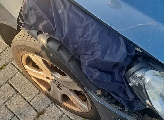 349021803 956343875408273 1921603365064409220 n