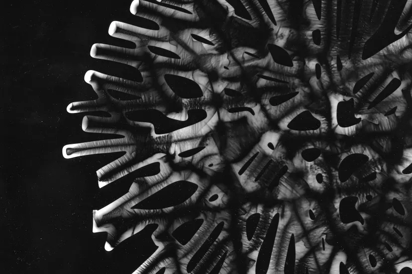 36 regine van riemsdijk 1 fotografiek