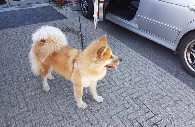 36582351 235479653721312 7867303501179650048 n