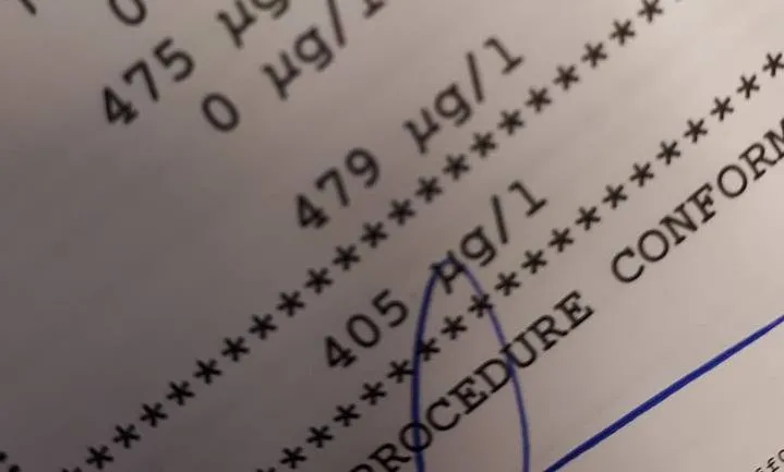 37551953 248471719088772 7183061588260159488 n