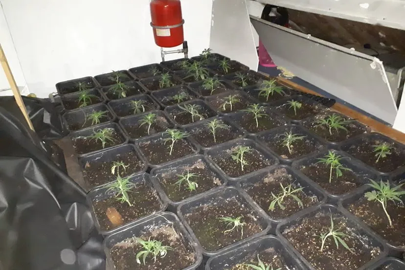 39220762 272264336709510 1233778163784351744 n