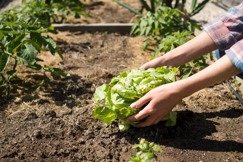 427734652 786429440182999 2384956030458843217 n