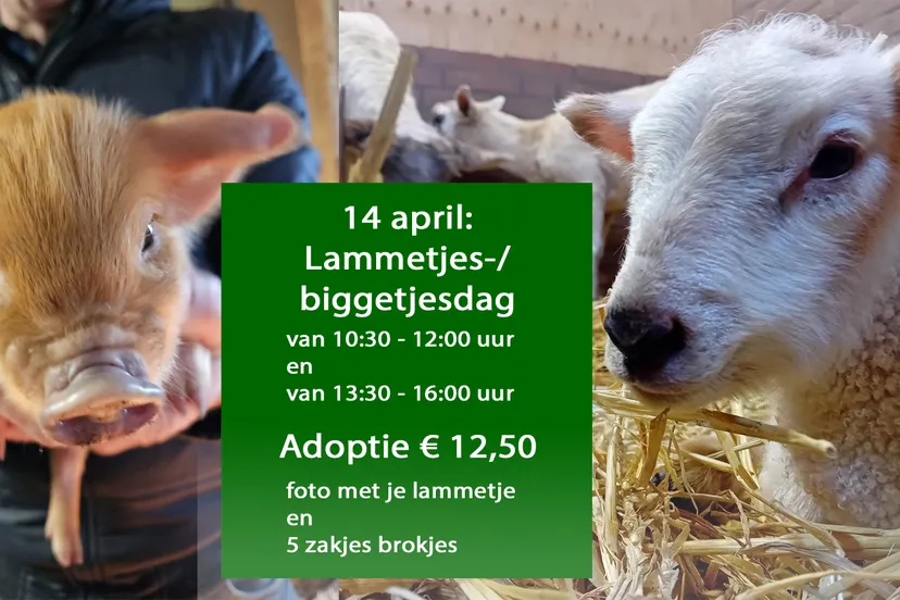 433949978 903405034920222 2913745237417003051 n