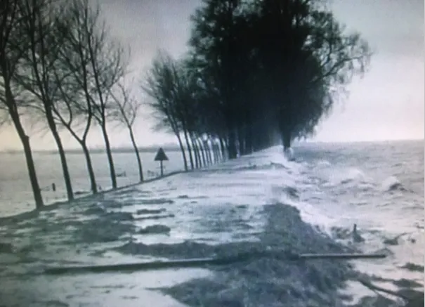 441954451 1497176900913418 6024153414548982549 n