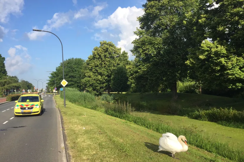 448069584 467523585928637 801170583643737090 n