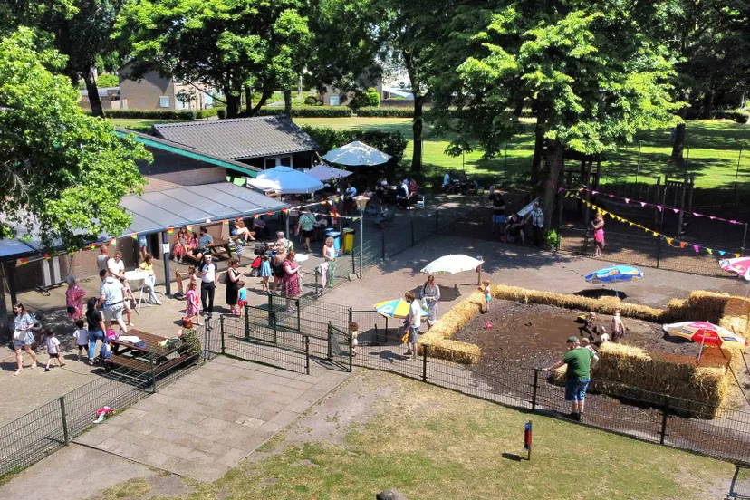 449506169 957506116176780 8527992959965600334 n