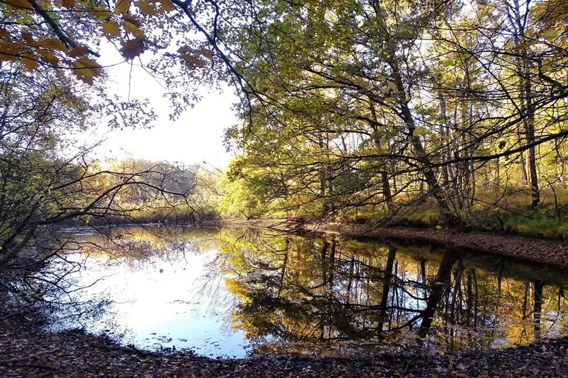 45739919 1868091923306688 5465344913497391104 o