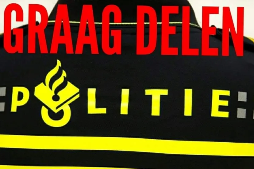 46329049 309672119635398 2591681539553099776 o1