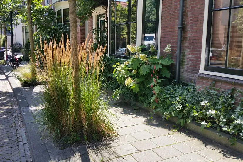 48474870076 40ac89f7ab b