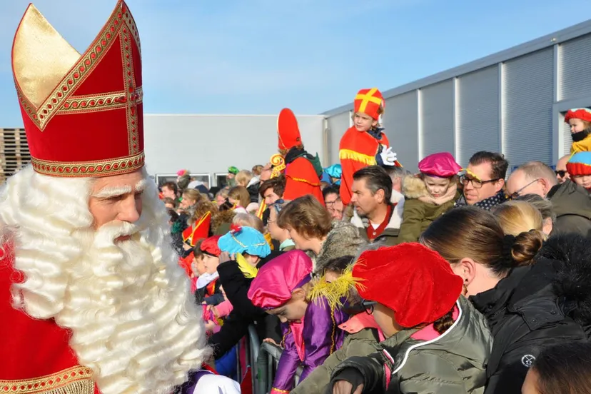 49079333841 e41cf7272c o