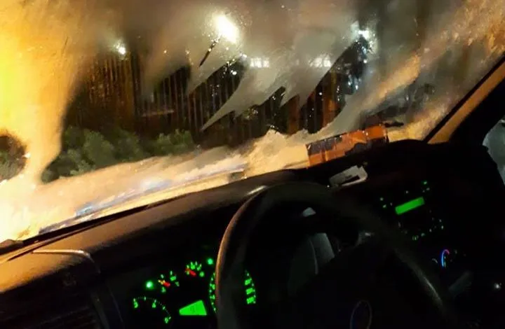 49241546 335972603672016 1168850026479222784 n