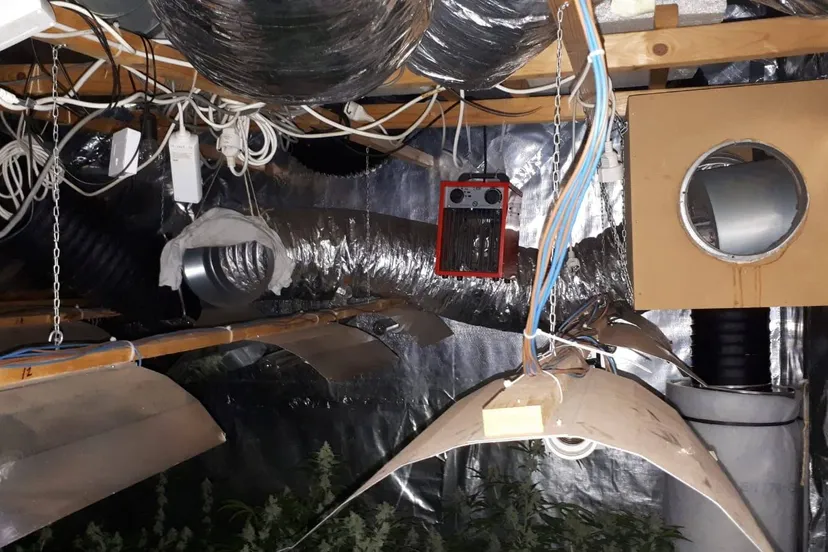 49319514 335712940364649 2336849305836453888 o