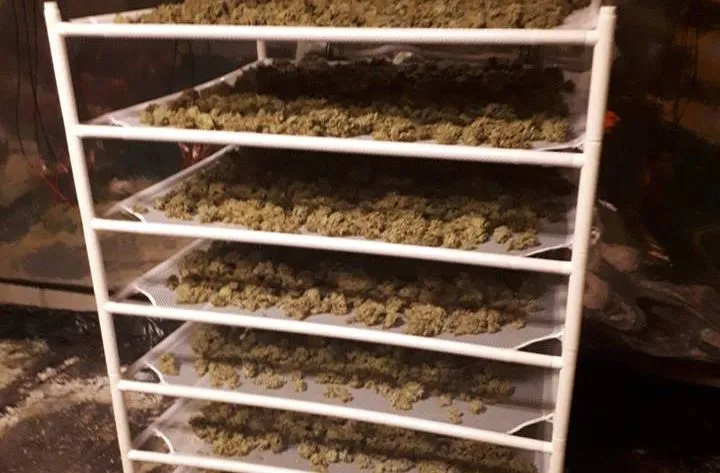 49344473 332423557360254 7078074376884584448 n