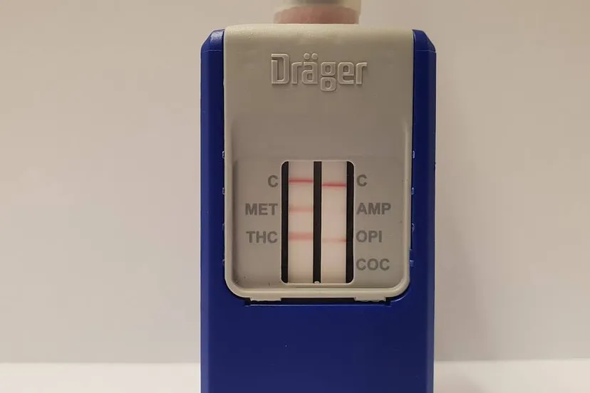 49792279 330016050934338 2766222812824731648 o