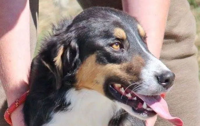 50236797 2323844034301148 2593765161332375552 na