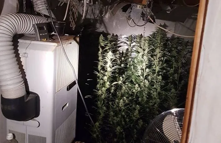 50616699 337991766803433 1549192156751593472 n