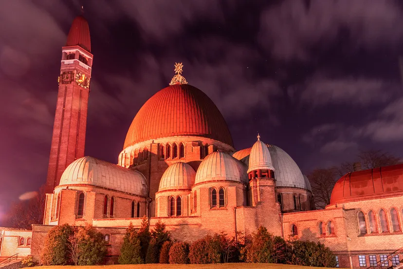 50649021088 4a8494be43 h